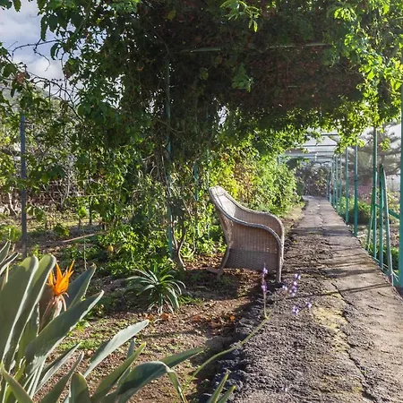 Casa Victor - Torahy Апартаменты